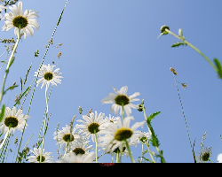 5 Simple Exercises to Boost Your Mental Health